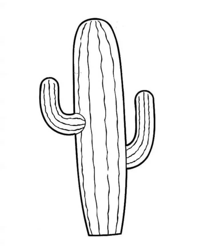 Afdrukbare Cactus