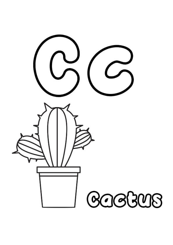 Brief C met Cactus