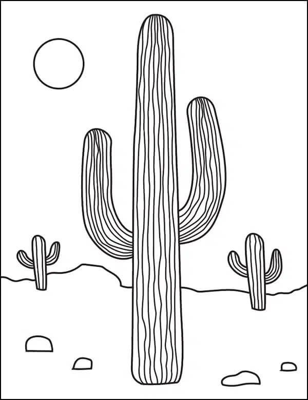 Cactus drie in de woestijn