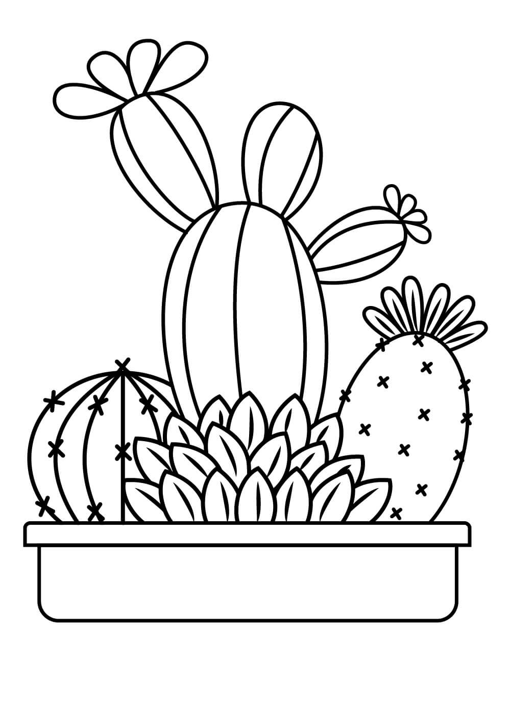 Cactus in pot