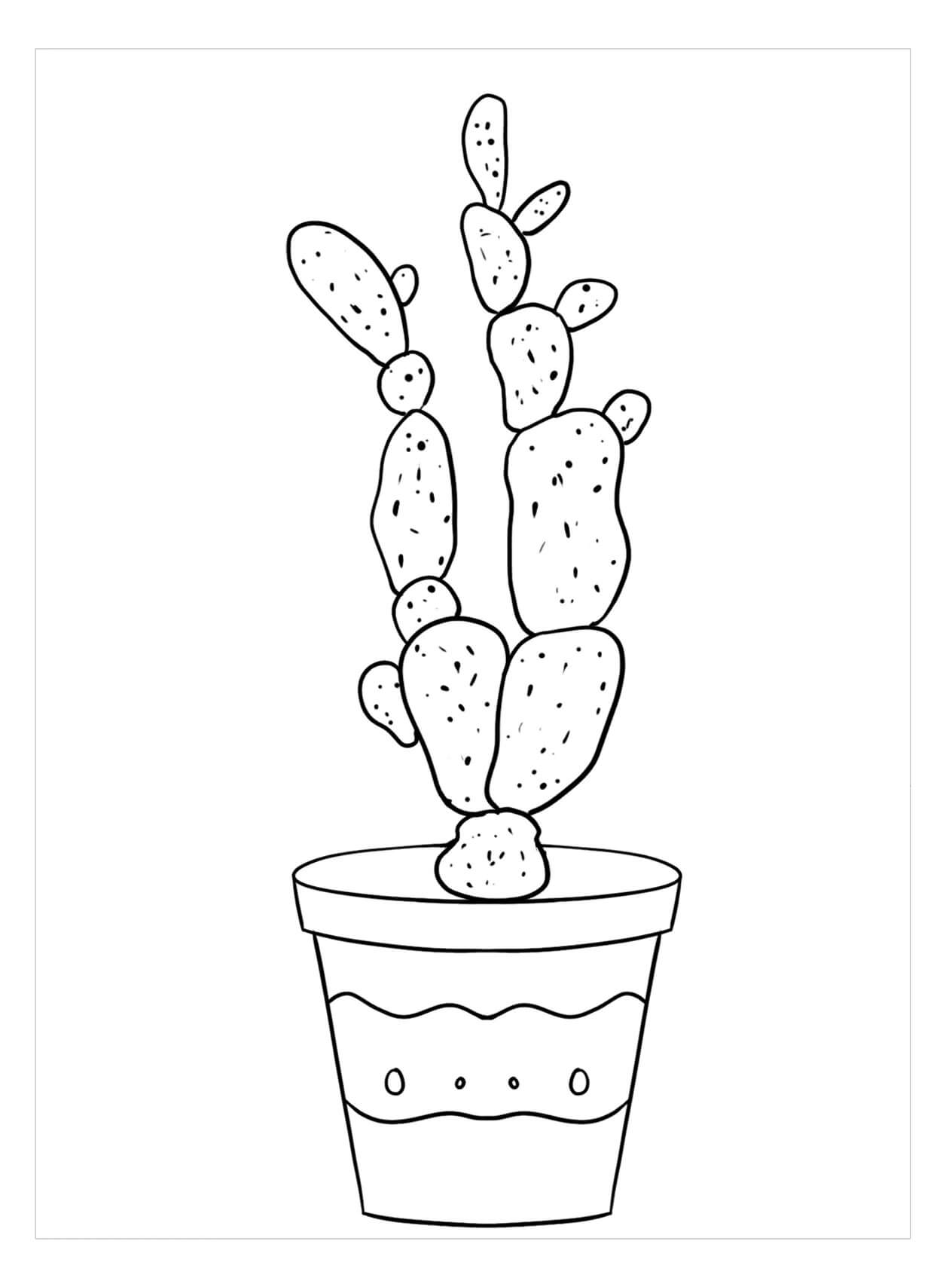 Dame Vingers Cactus