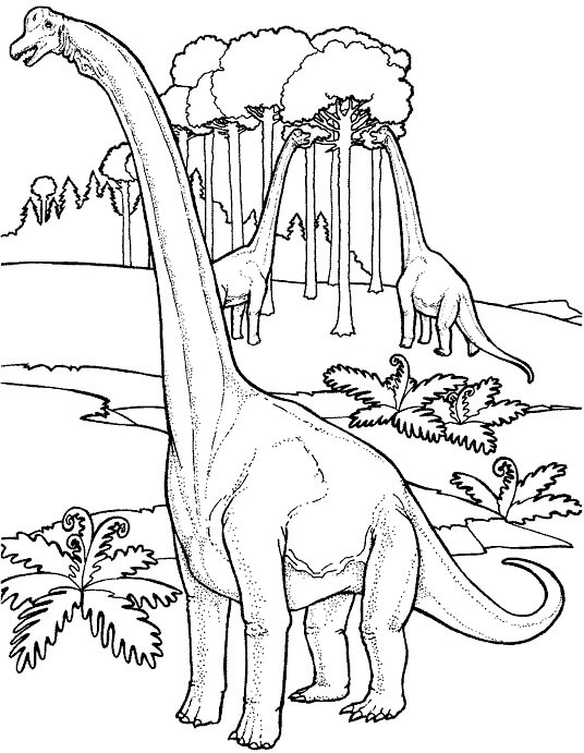 Drie dinosaurussen met lange nek