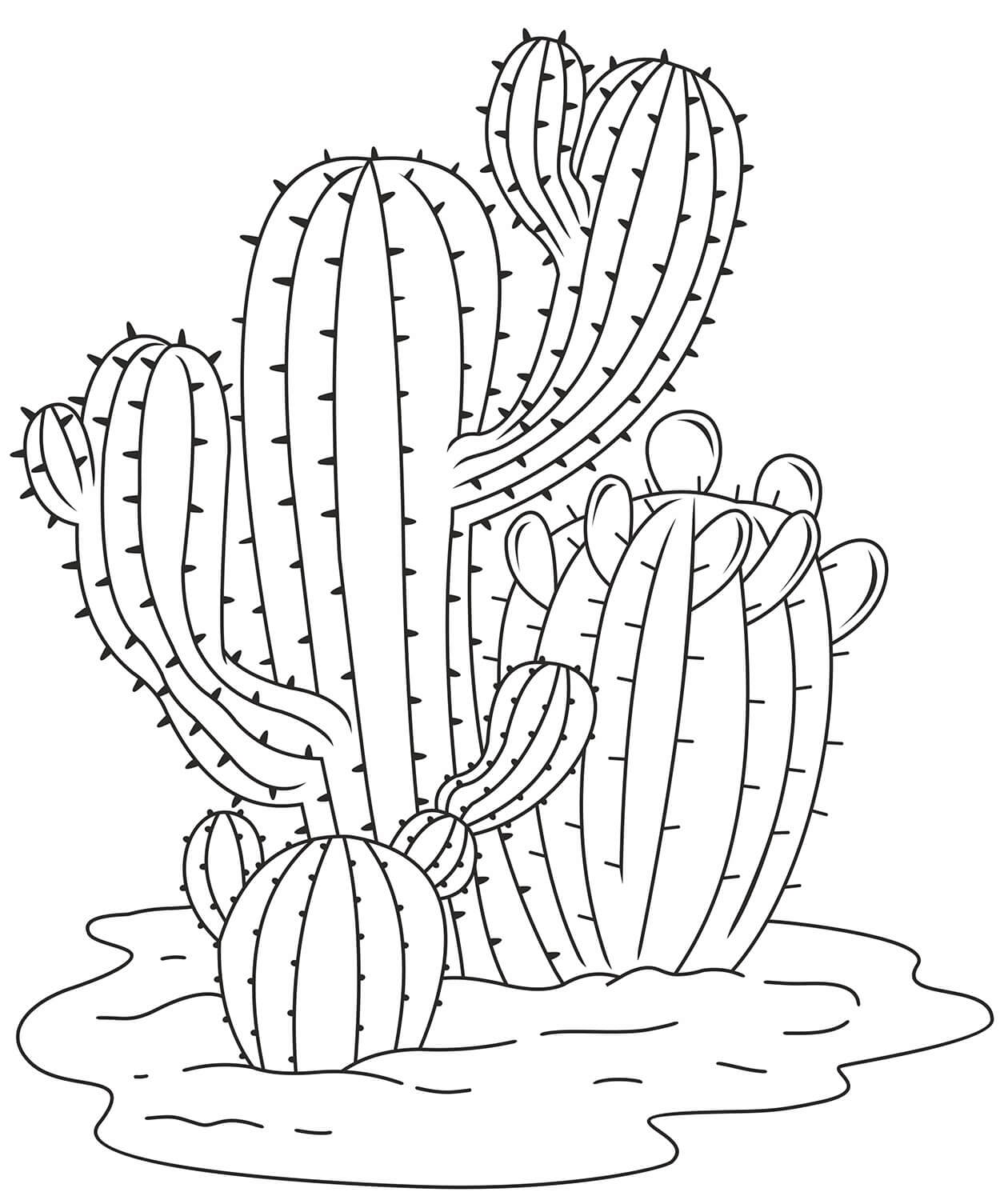 Eenvoudige Cactus