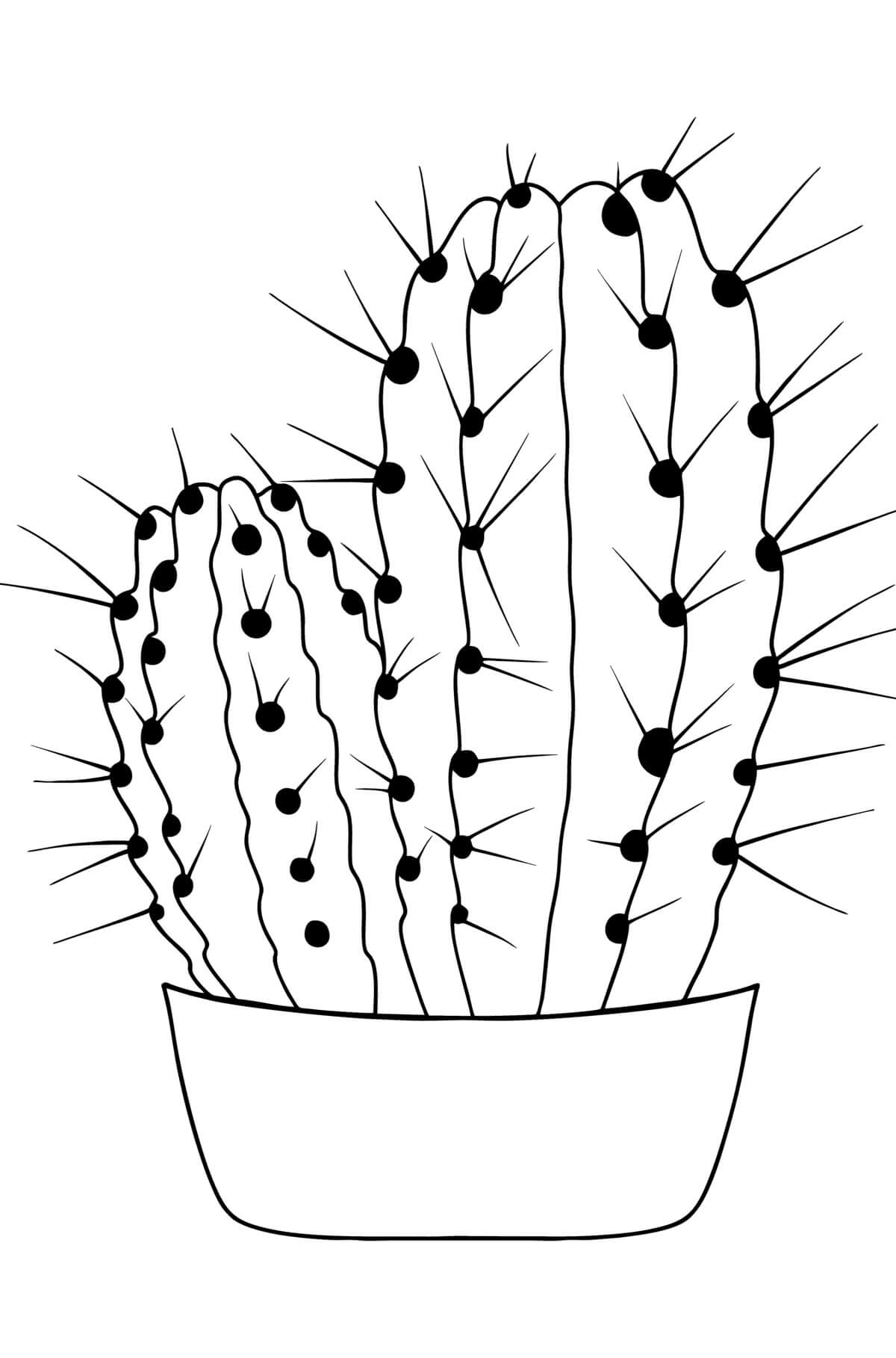 Eenvoudige ingemaakte cactus