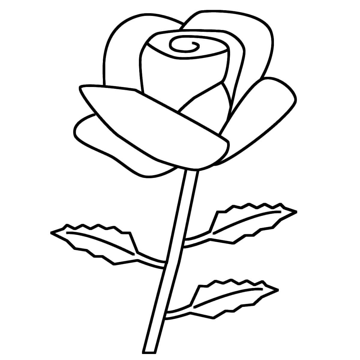 Eenvoudige Roos - Afbeelding 2