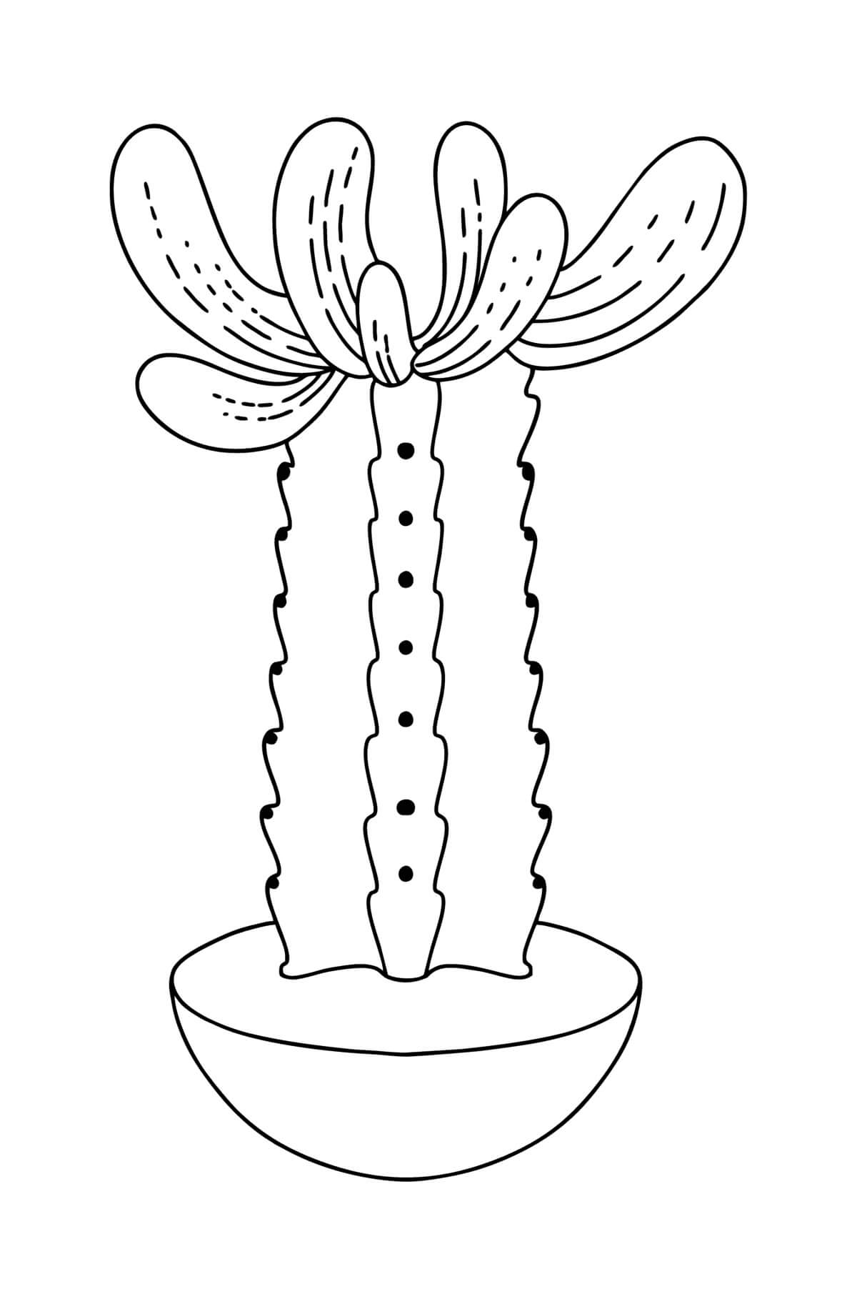 Geweldige potcactus