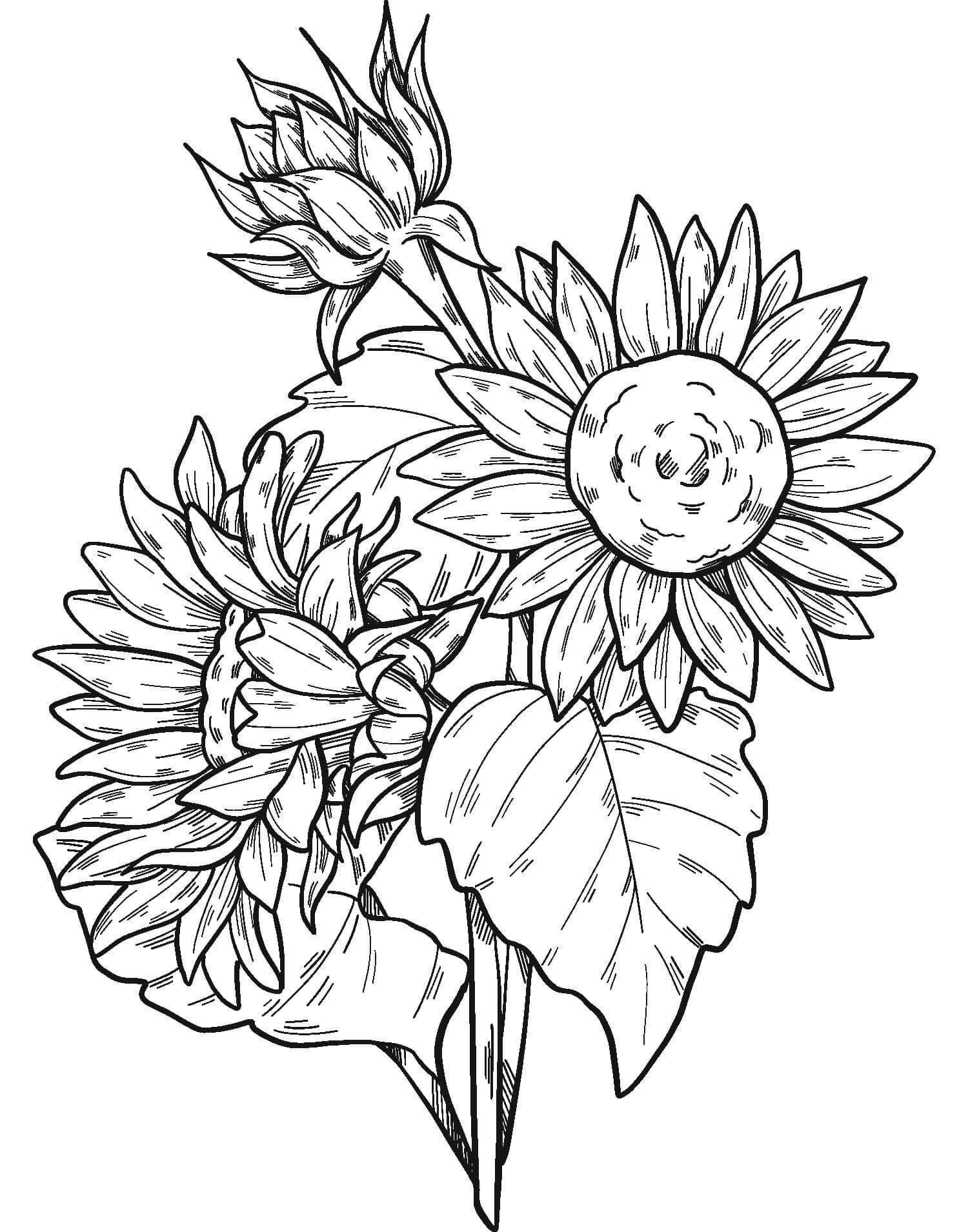 Geweldige zonnebloemen