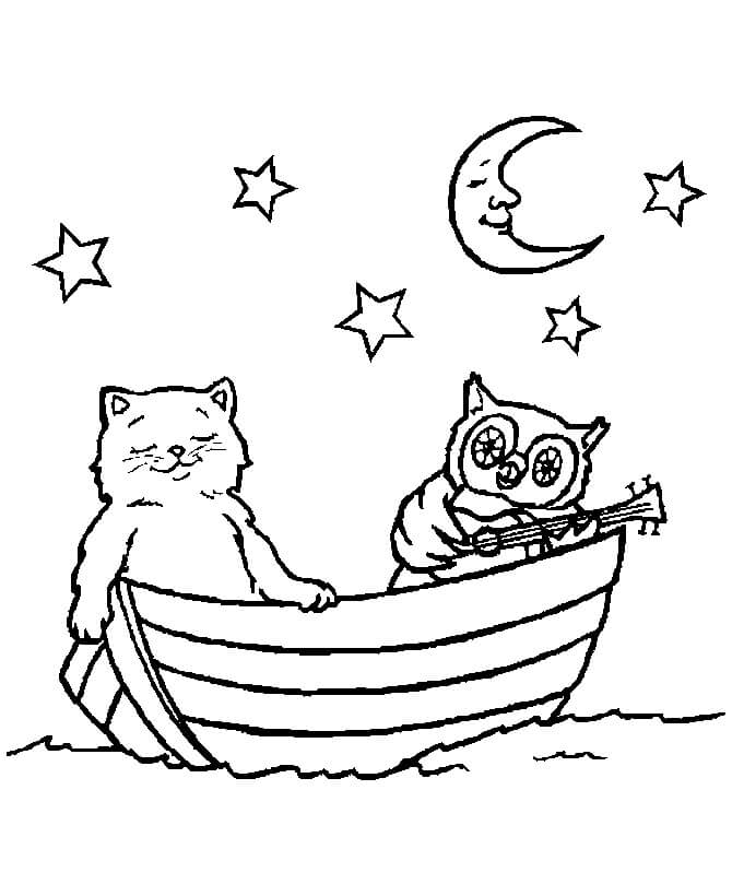 Kat en uil op een boot