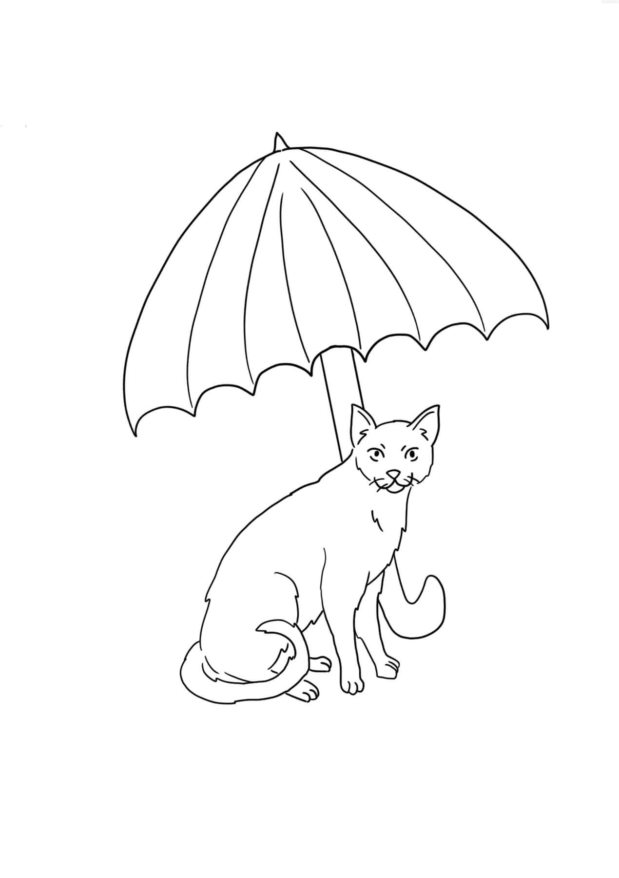 Kat met paraplu