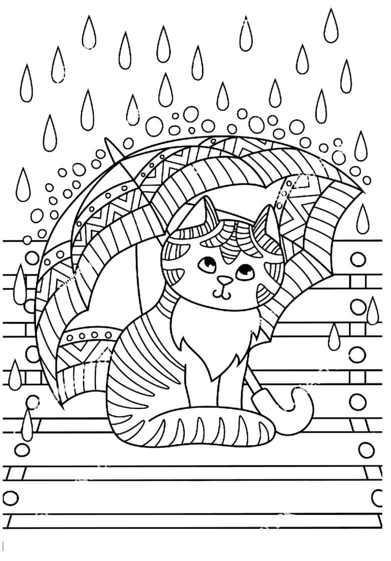 Leuk Katje onder de Paraplu