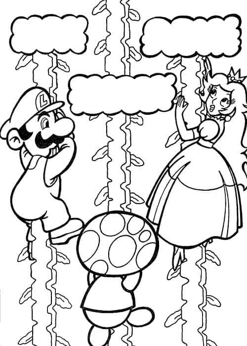 Mario redt de prinses
