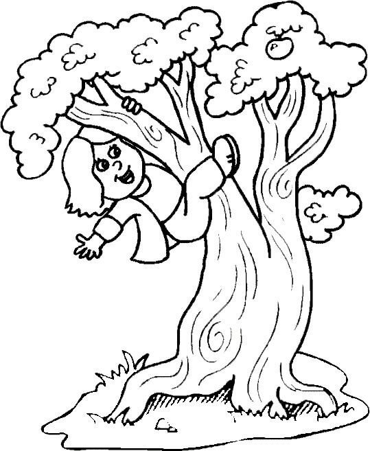 Meisje dat in een boom klimt