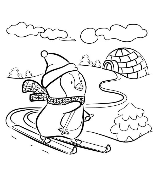 Penguin skiet in de winter