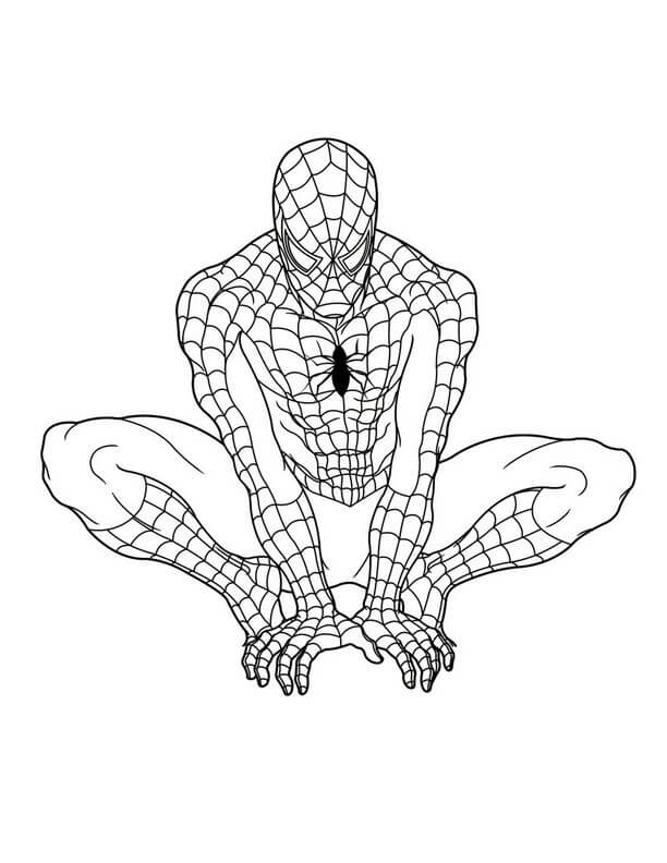 Populaire Spiderman-foto