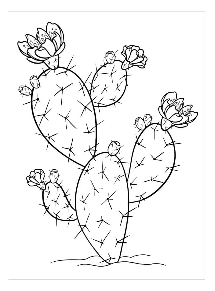 Prikkelige Peer Cactus