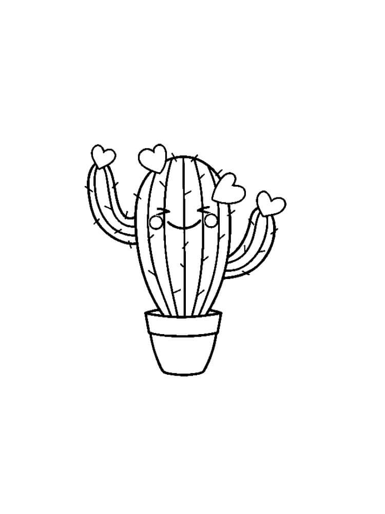 Schattige Cactus