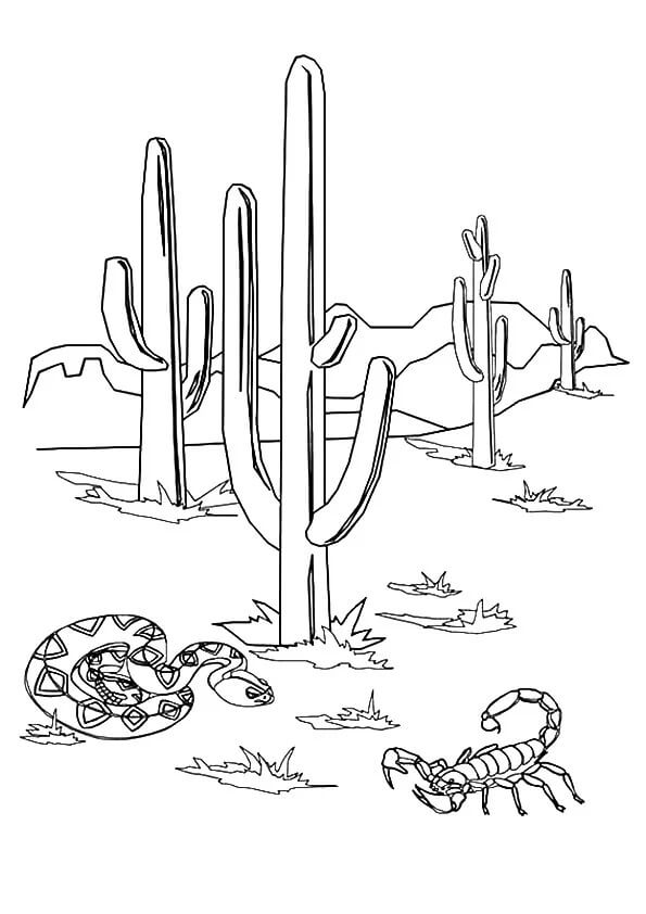 Slang en Schorpioen met Cactus