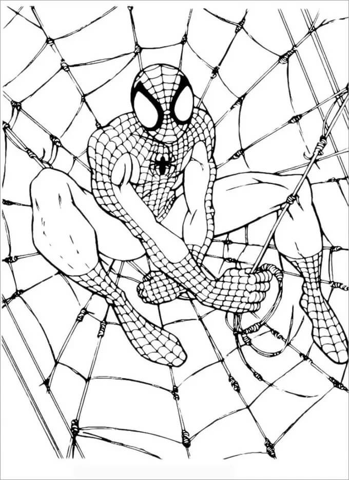 Spiderman - Afbeelding 14