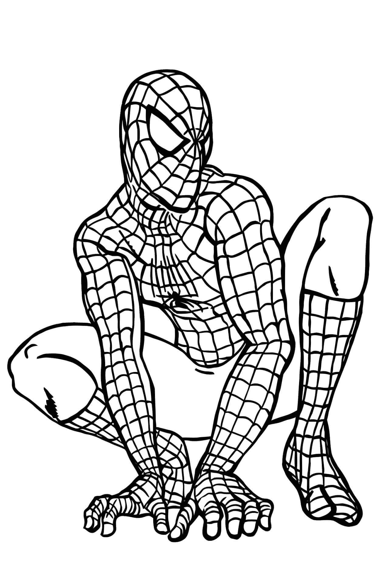 Spiderman - Afbeelding 6