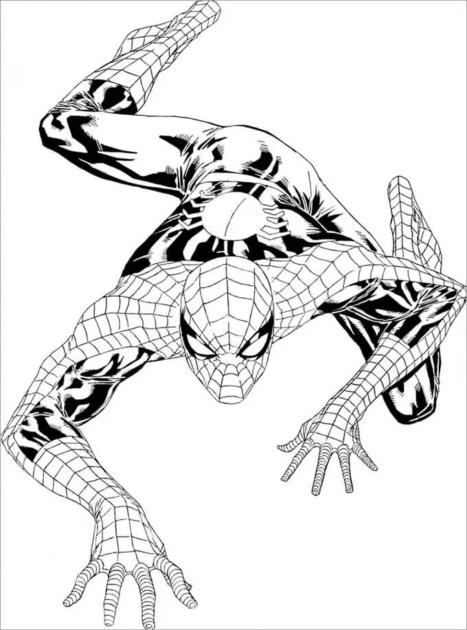 Spiderman - Afbeelding 7