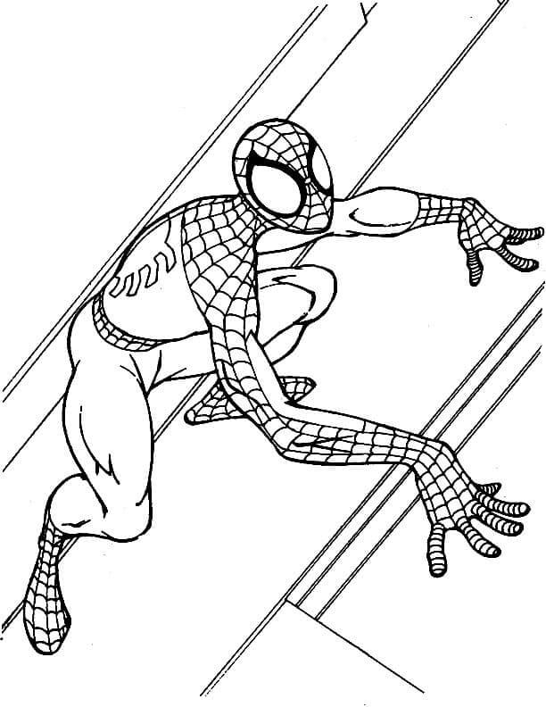 Spiderman klimmen