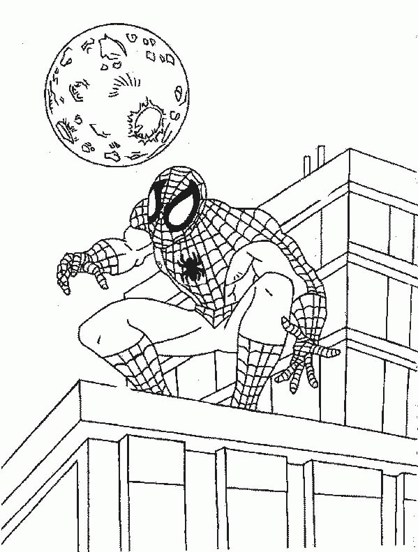 Spiderman met maan