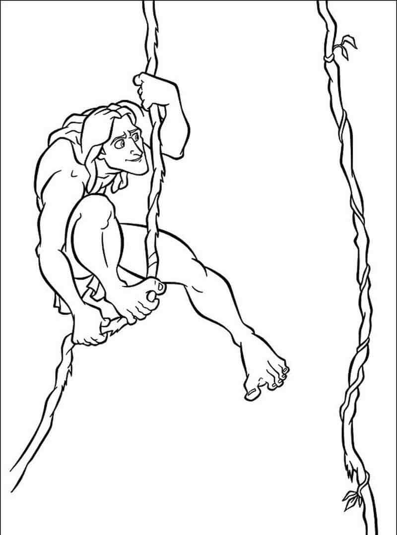 Tarzan klimmen