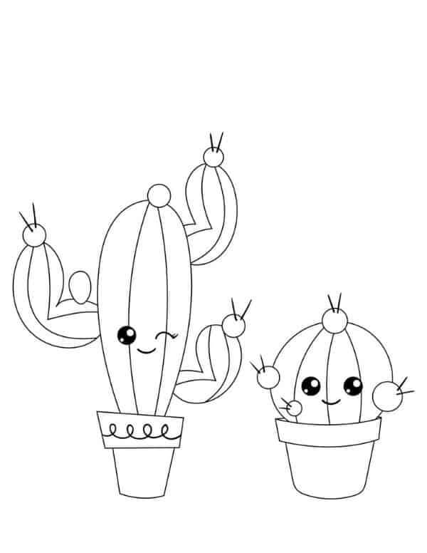 Twee Cartoon Ingemaakte Cactus