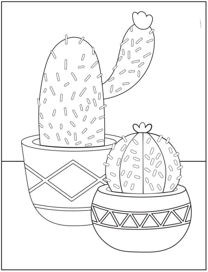 Twee Ingemaakte Cactus