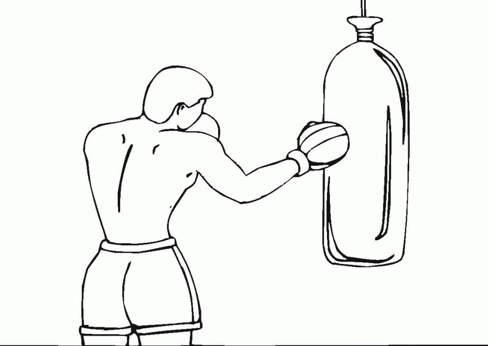 Drawing Boxer