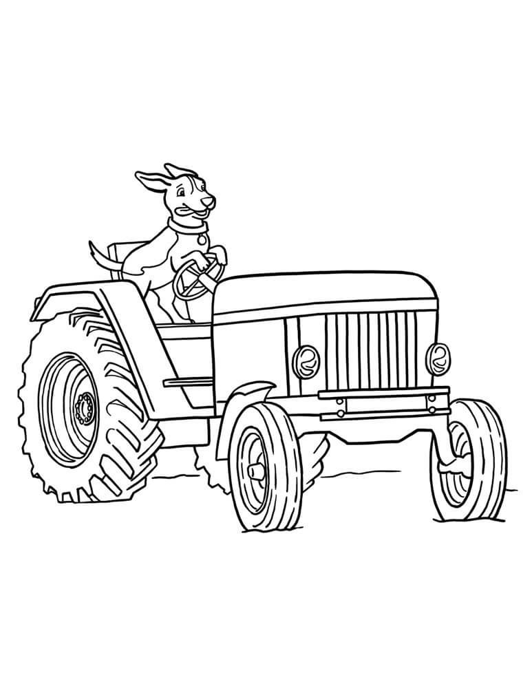 Hond rijdende tractor