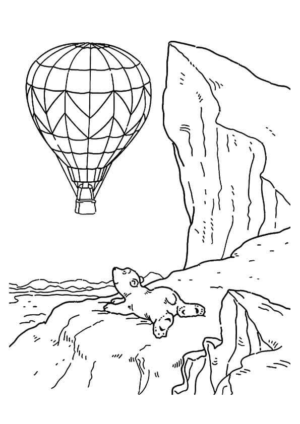 Kijken naar een polaire heteluchtballon