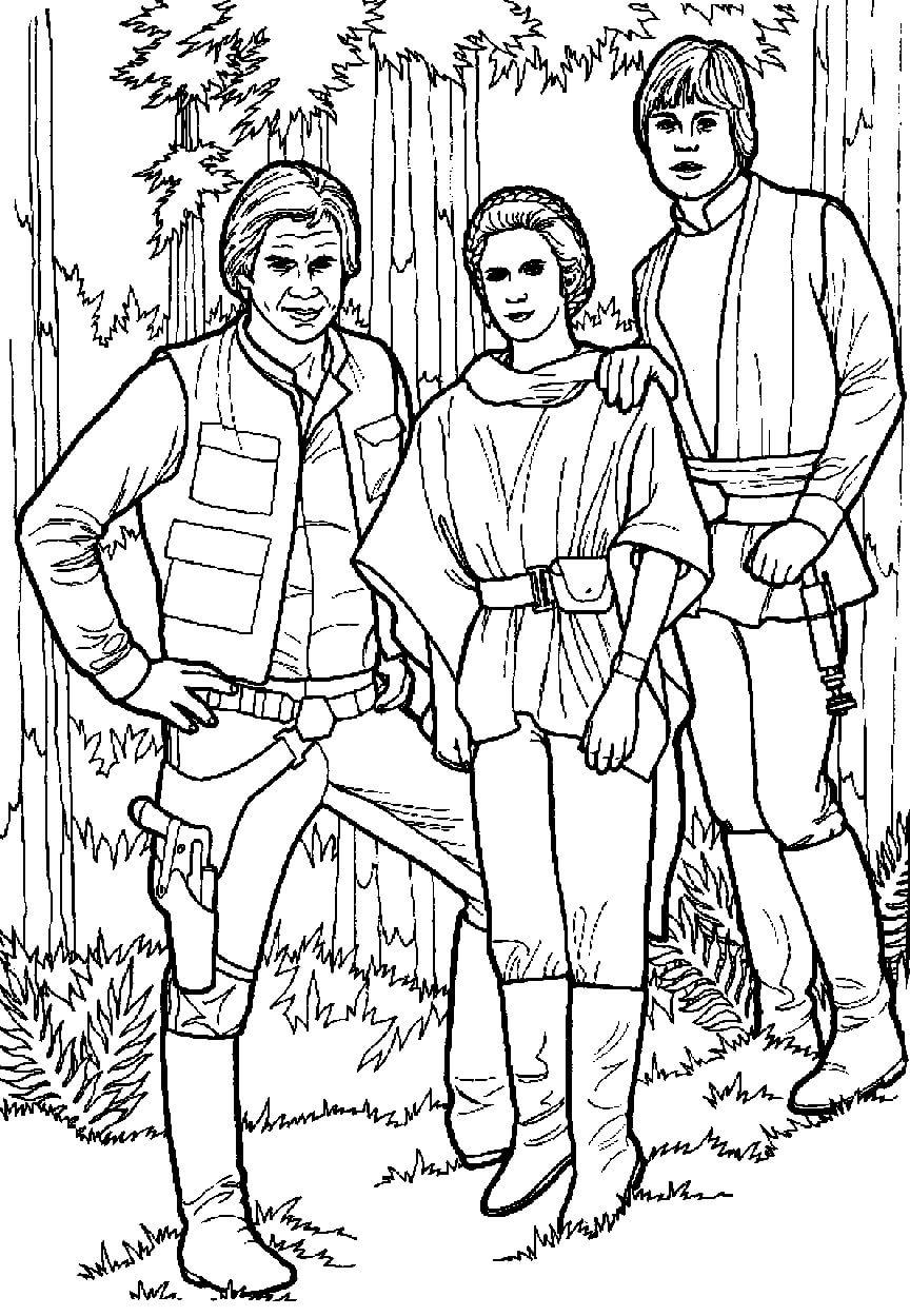 Luke Skywalker en zijn vrienden