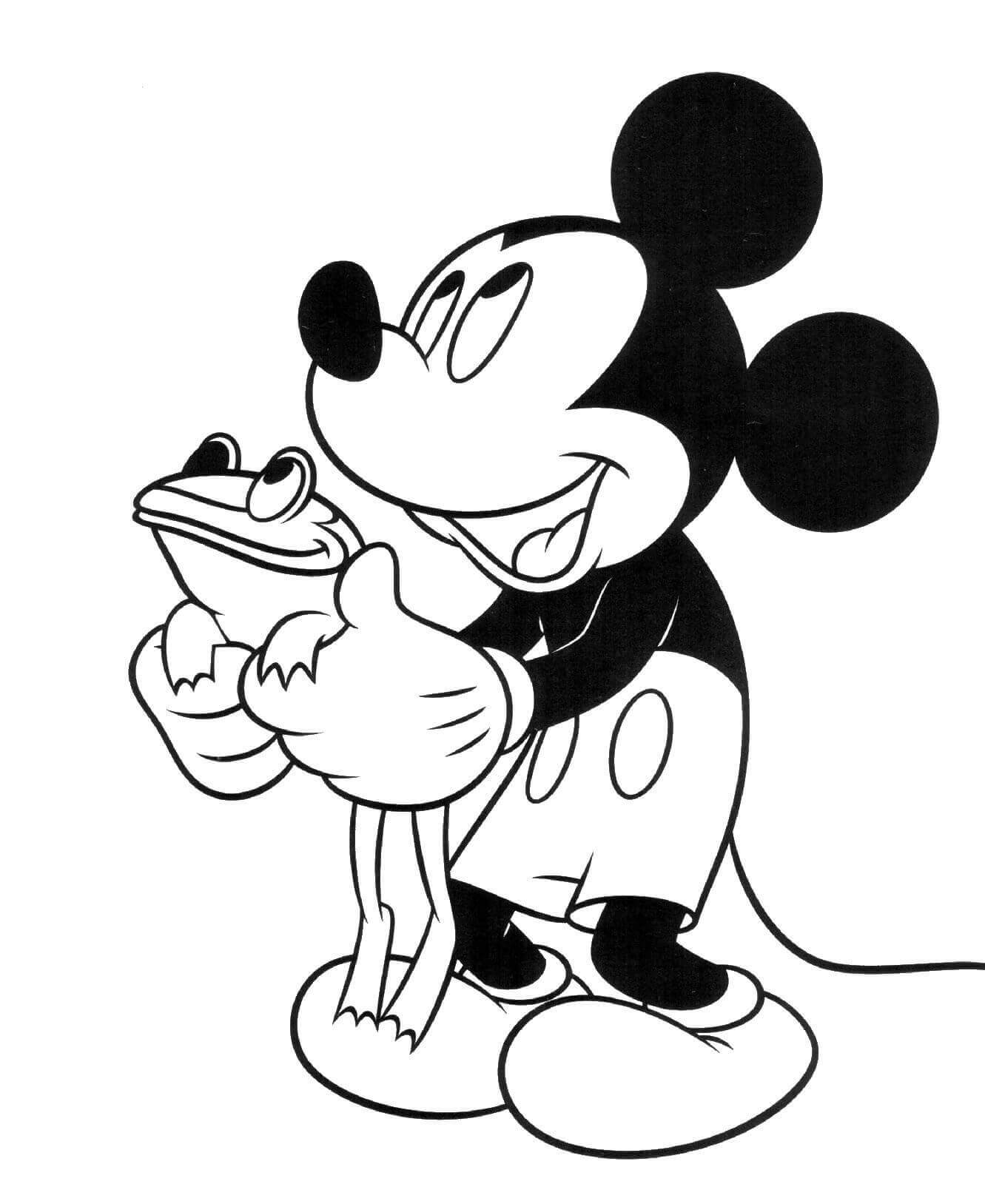 Mickey Mouse Houdt Kikker