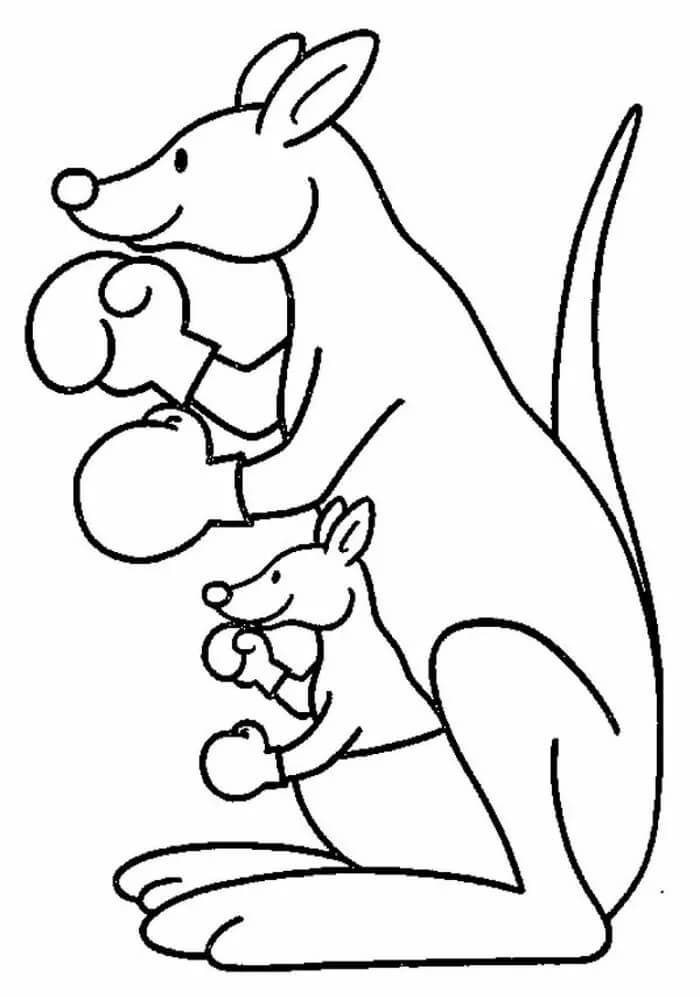 Moeder Kangoeroe en Baby Kangoeroe Boksen