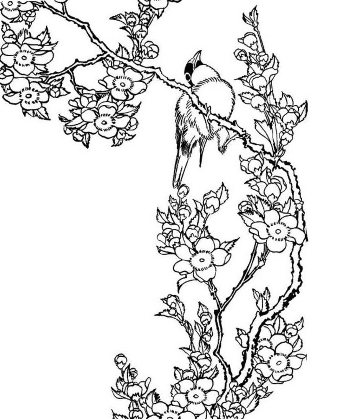 Podstawowy ptak na gałęzi wiśniowego kwiatu