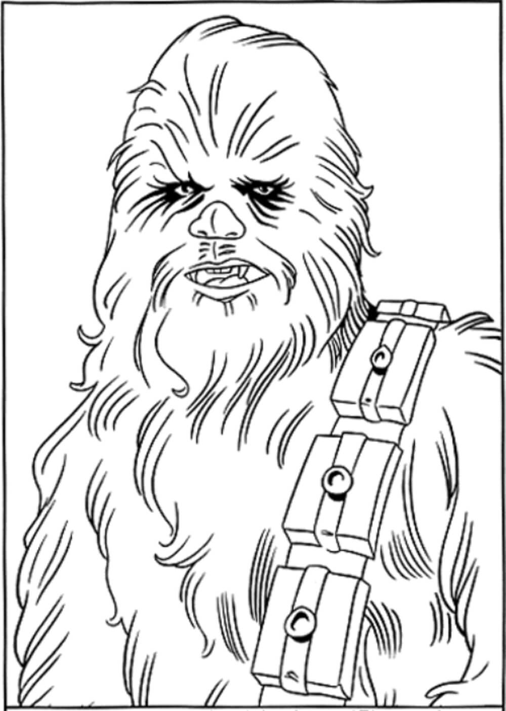 Portret van Chewbacca