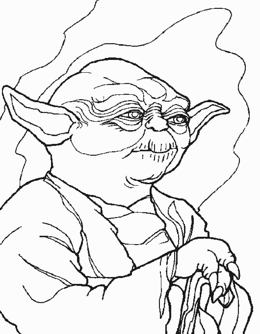 Portret van Meester Yoda