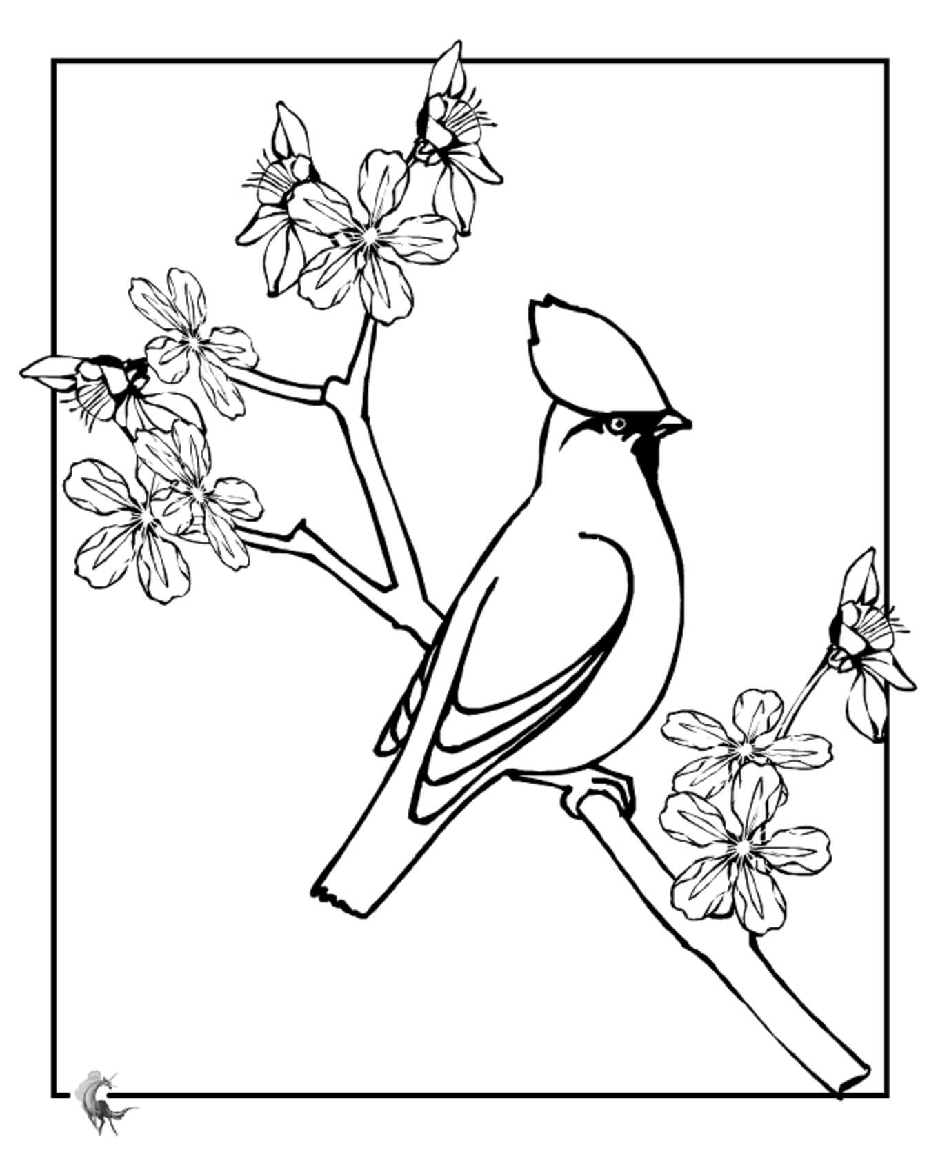 Ptak na gałęzi wiśniowego kwiatu