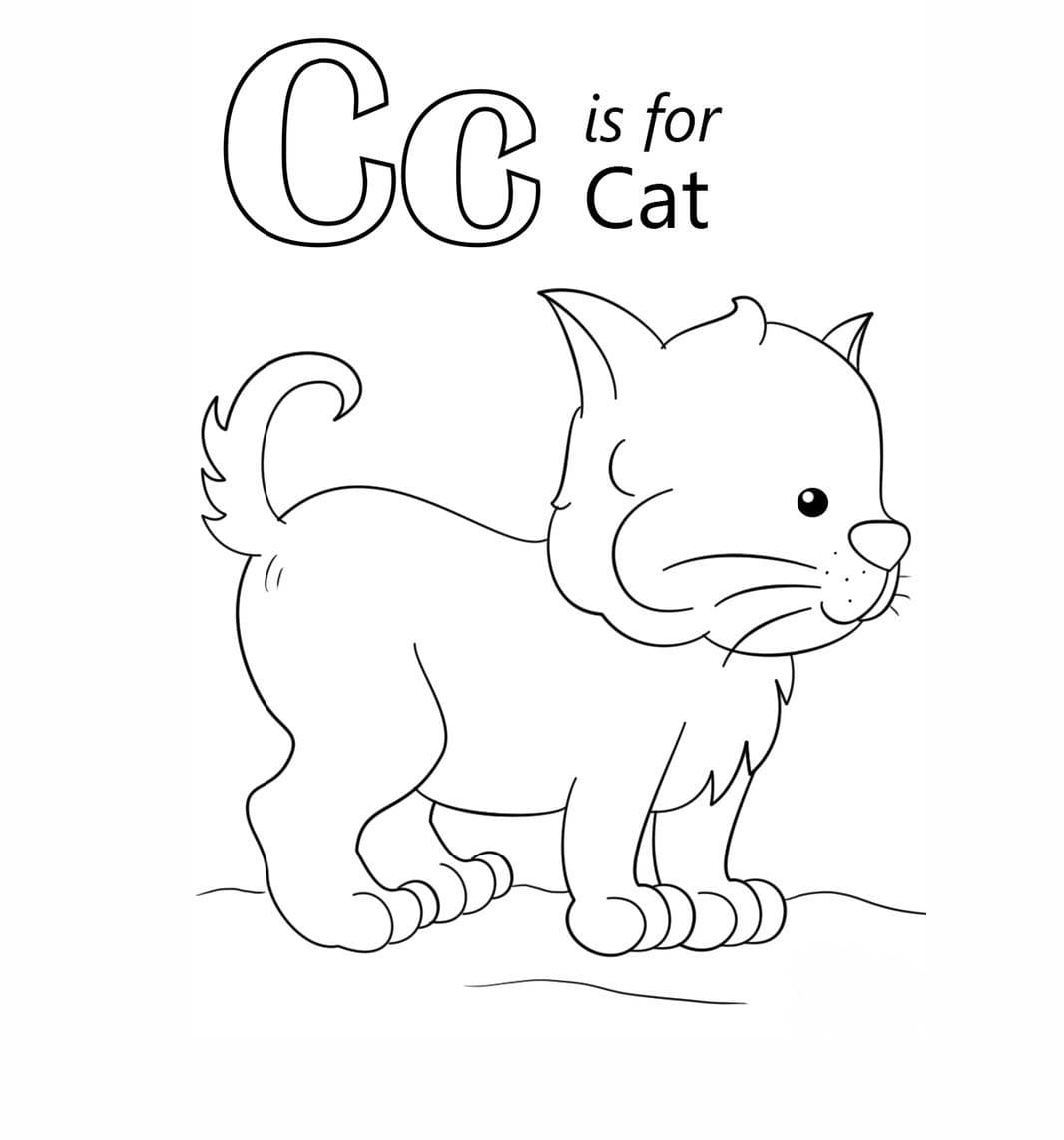 Letter C is voor kat