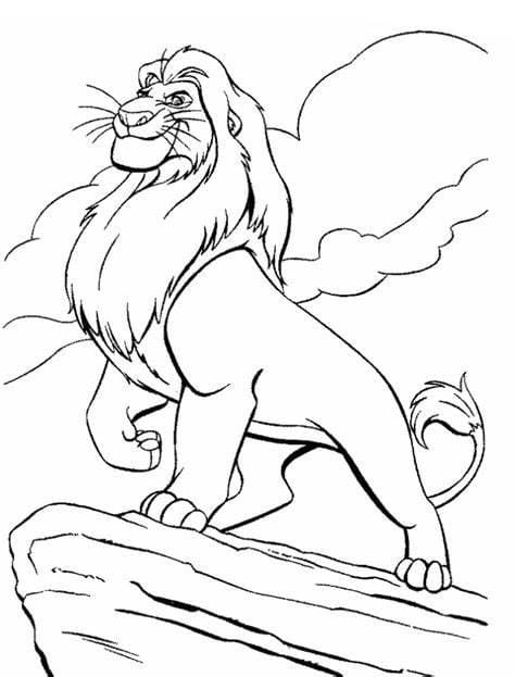 Afbeelding leeuwenkoning