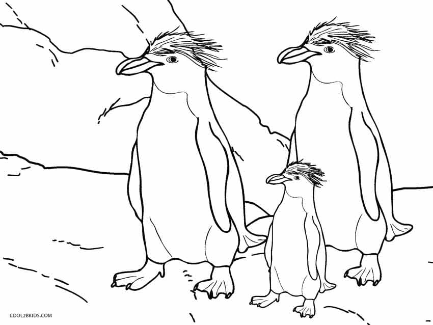 Afbeelding van drie pinguïns