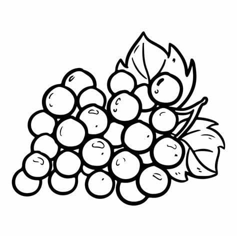 Afdrukbare druif omtrek