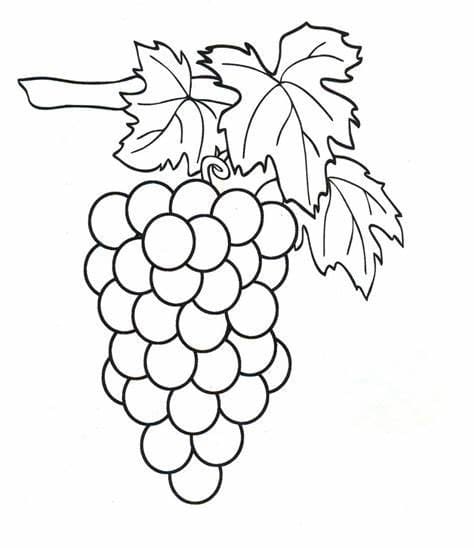 Afdrukbare druivenafbeelding