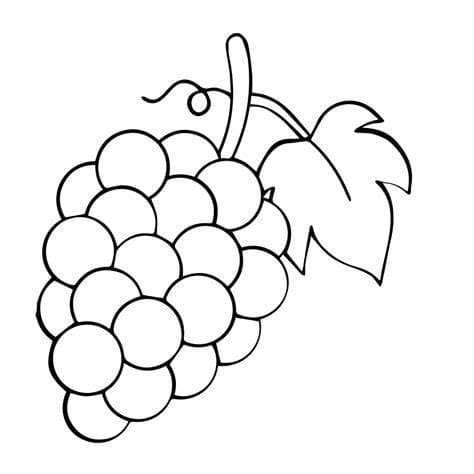 Druivenafbeelding afdrukken