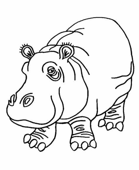 Gratis Hippo-afbeelding