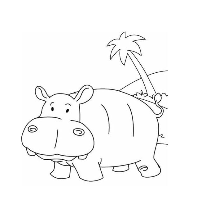 Gratis Hippo-overzicht