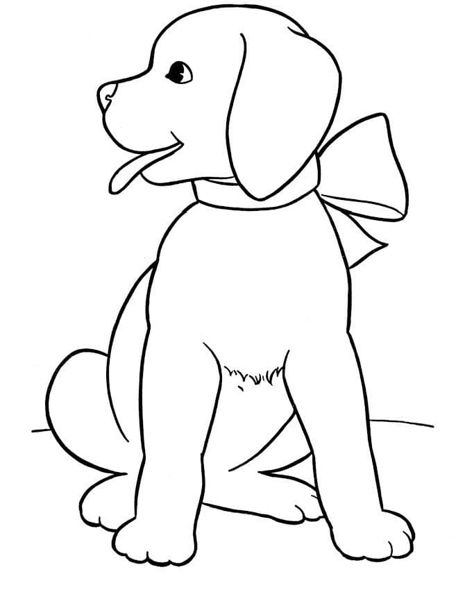 Hond - Afbeelding 2