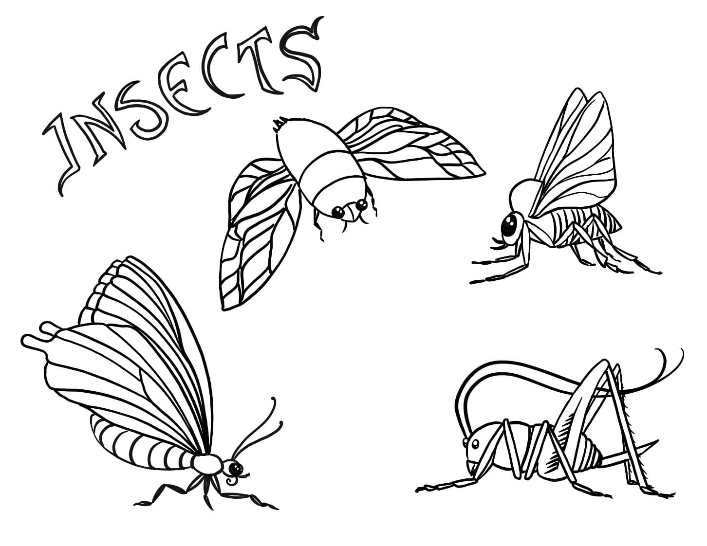 insecten