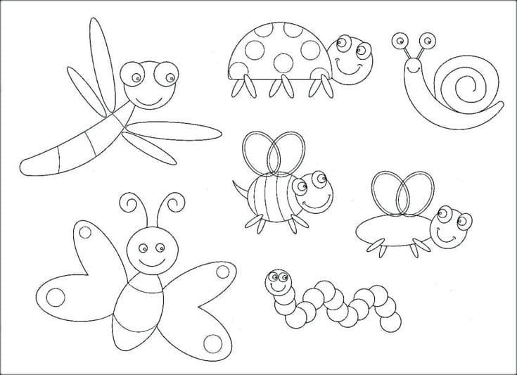 Insecten voor kinderen
